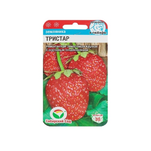 Земляника Тристар  10шт_10
