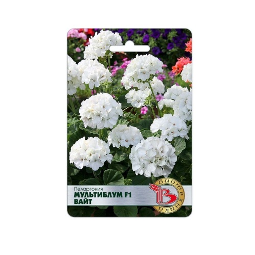 Пеларгония Мультиблум F1 Вайт  5шт_5_10