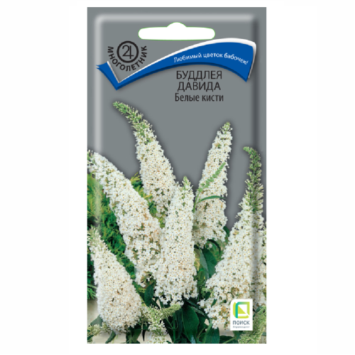 Буддлея Давида Белые кисти  0_01гр_10