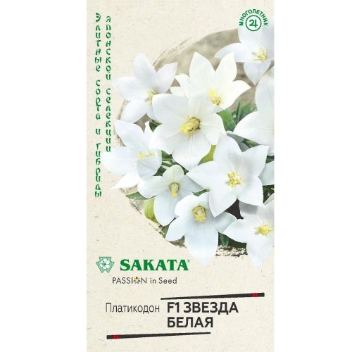 Платикодон Звезда белая F1 крупноцветковый  5шт_10
