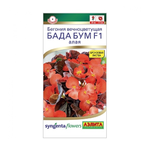Бегония Бада бум F1 алая 5шт_10