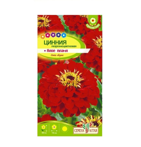 Цинния Алое пламя  0_2-0_3гр_10