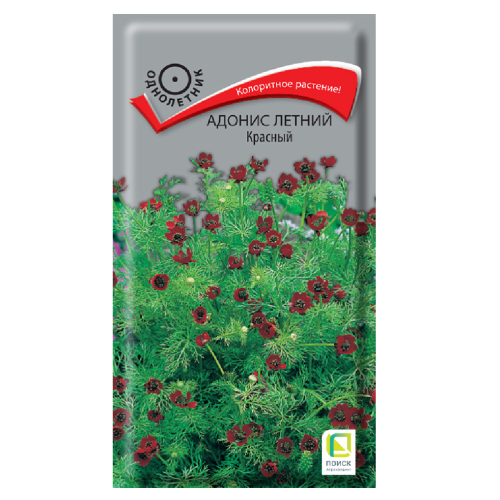 Адонис летний Красный  0_3гр_10