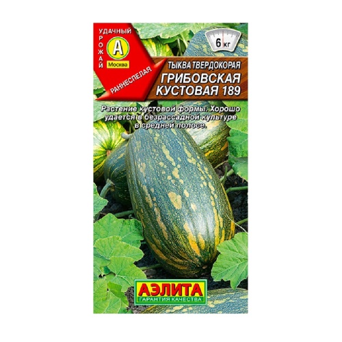 Тыква Грибовская кустовая 189 1гр  _10