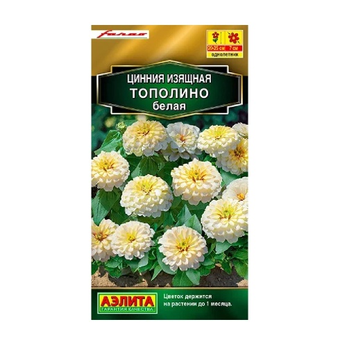 Цинния Тополино белая 12шт_10