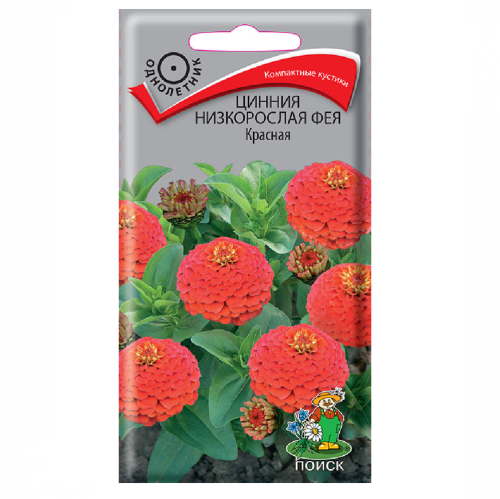 Цинния Фея Красная низкорослая  0_1гр_10