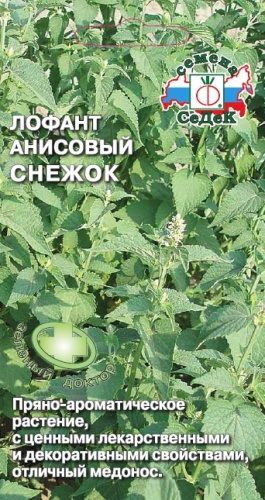 Лофант Снежок  0_1гр_10