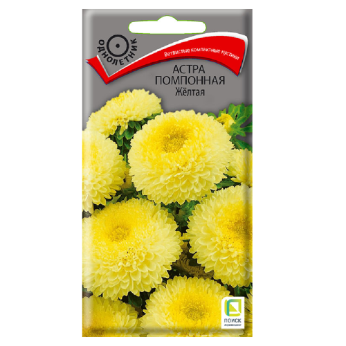 Астра помпонная Желтая  0_3гр_10 