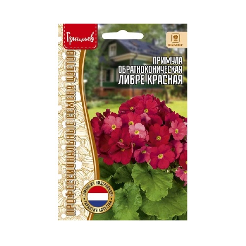 Примула Либре Красная обратноконическая 4шт_10