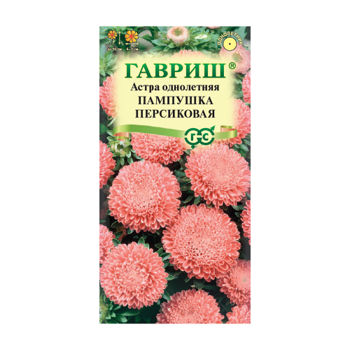 Астра Пампушка персиковая  0_3гр_10