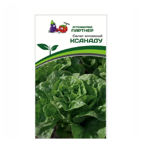 Салат КСАНАДУ кочанный 15шт_10