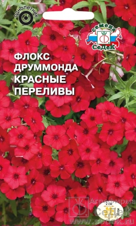 Флокс Друммонда Красные Переливы  0_2гр_10