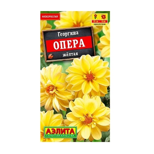 Георгина Опера желтая 7шт  _10