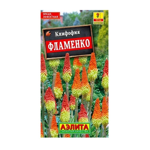 Книфофия Фламенко ягодная 30шт _10