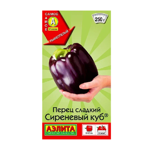 Перец сладкий Сиреневый куб  20шт _10