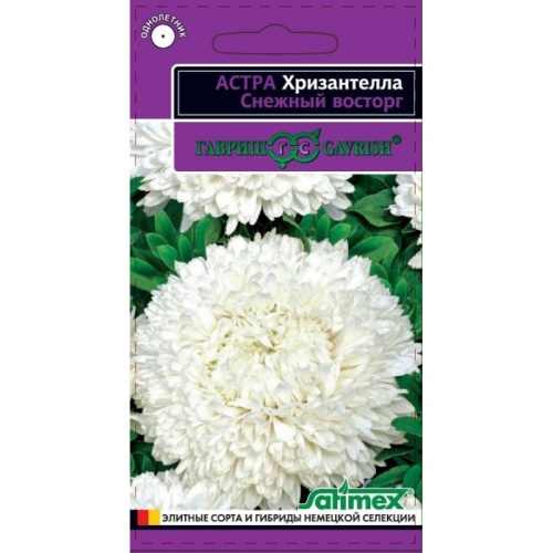 Астра Хризантелла Снежный восторг  0_05гр_10