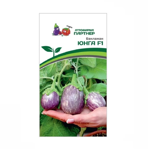 Баклажан Юнга F1 10шт_10