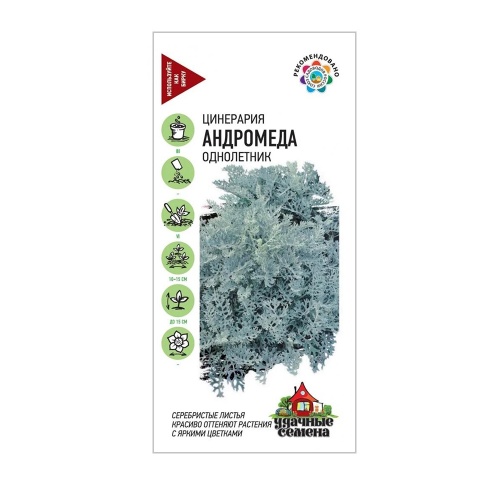 Цинерария Андромеда_Удачные семена  0_05гр