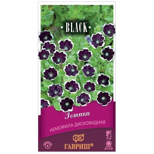 Немофила дисковидная Готика  0_2гр_10