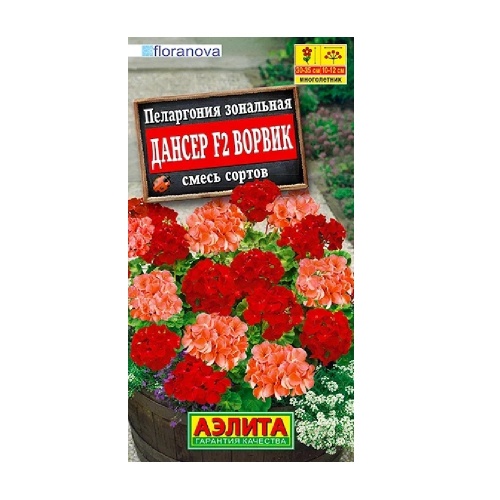 Пеларгония Дансер F2 Ворвик смесь окрасок 5шт  _10