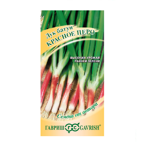 Лук батун Красное перо  0_1-0_5гр_10