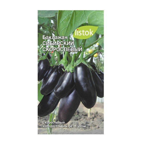 Баклажан Сибирский скороспелый  20шт_10