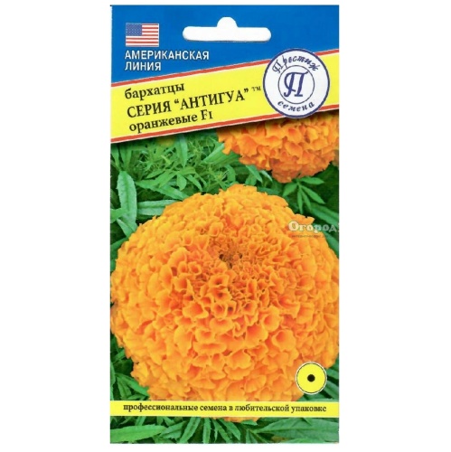 Бархатцы Антигуа Оранжевые прямостоячие F1  5шт_10_50