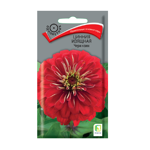 Цинния изящная Чери квин 0_4гр_10