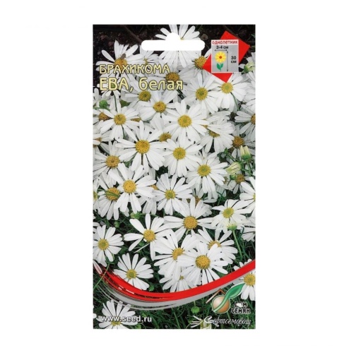 Брахикома Ева белая  180шт_10