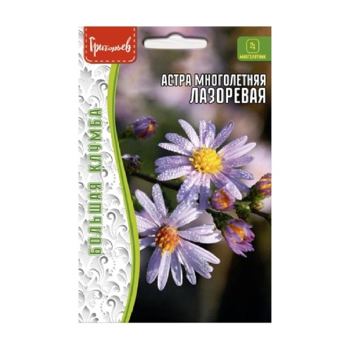 Астра Лазоревая многолетняя 20шт _10