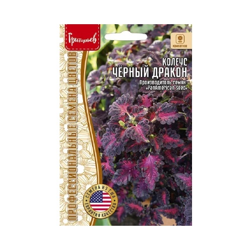 Колеус Блэк Дракон (Черный Дракон) 10шт_10