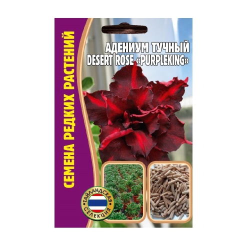Адениум DesertRose PurpleKing тучный  3 шт_10