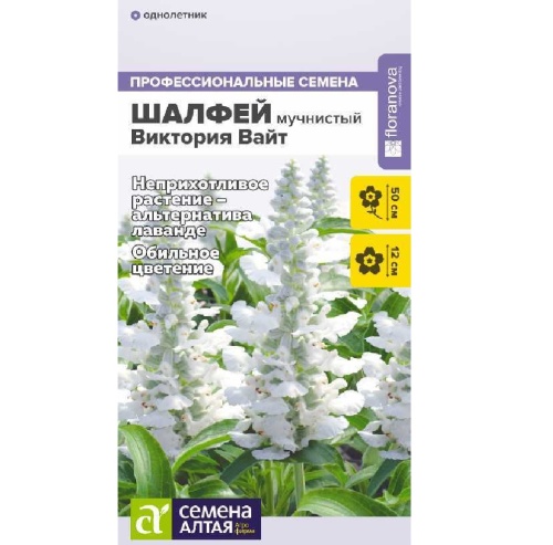 Шалфей мучнистый Виктория Вайт 10шт_10