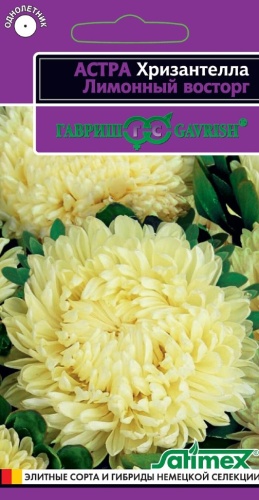 Астра Хризантелла Лимонный восторг  0_05гр_10