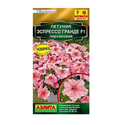 Петуния Эспрессо Гранде F1 крупноцветковая персиковая 7шт _10