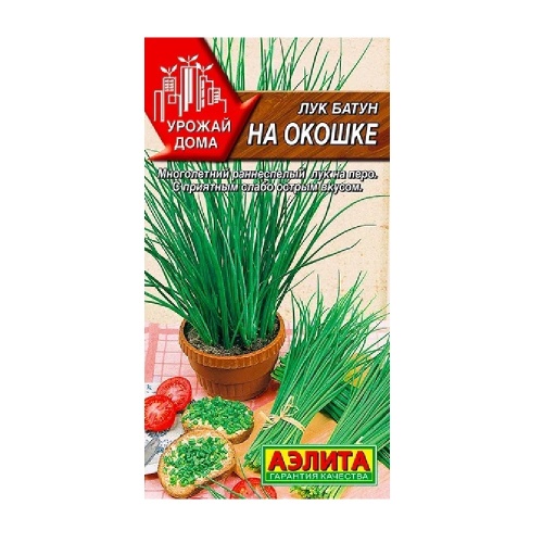 Лук батун На окошке 0_3гр_10