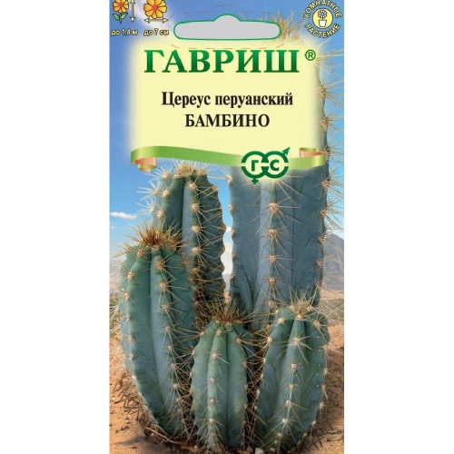 Цереус (кактус) перуанский Бамбино  4шт_10