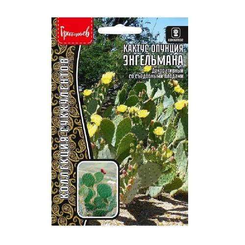 Кактус опунция Энгельмана 5шт _10