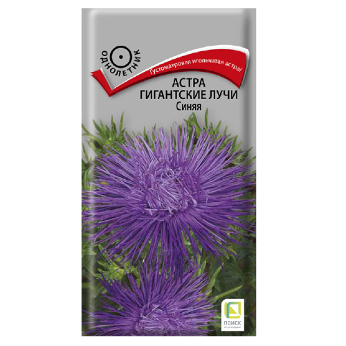 Астра Гигантские лучи Синяя  0_3гр_10