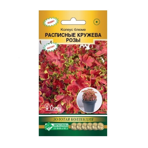 Колеус Расписные кружева Розы блюме 10др _10