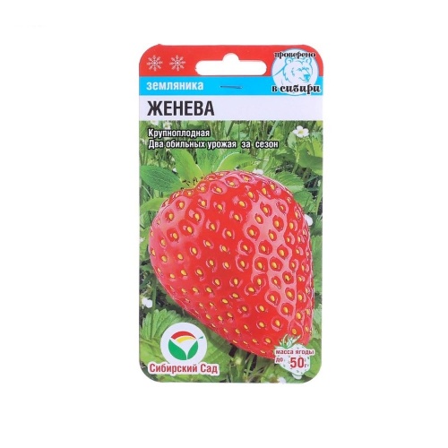 Земляника Женева  10шт_10
