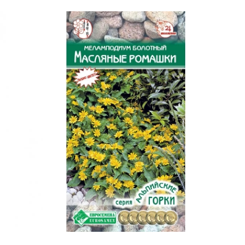 Меламподиум болотный Масляные Ромашки 0_1гр _10