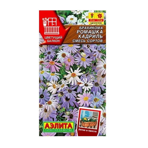 Брахикома Ромашка кадриль смесь  0_1гр_10