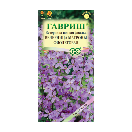 Вечерница (Хесперис)  Матроны фиолетовая  0_1-0_5гр_10