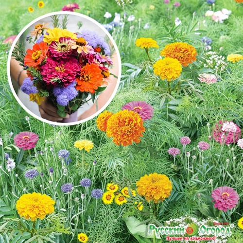 Газон Летний букет  30гр_10