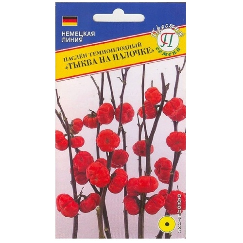 Паслен Тыква на палочке  5шт_10