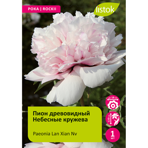 Пион древовидный Небесные кружева 1шт_Paeonia Lan Xian Nv
