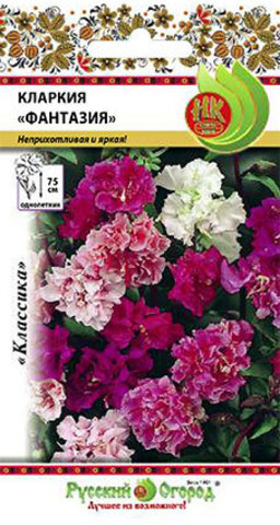 Кларкия Фантазия  0_2гр_10_100