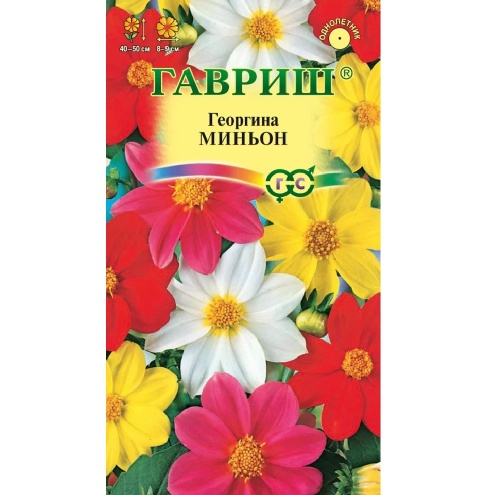 Георгина Миньон смесь  0_3гр_10