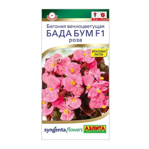 Бегония Бада бум F1 роза 5шт_10